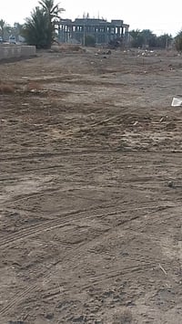 كربلاء • قطعة ٢٥٠م • طابو زراعي