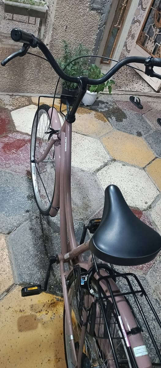 بايسكل للبيع حجم26
السعر 130وبي مجال بسيط


**إذا كنت صاحب هذا الإعلان وتريد حذفه لأي سبب، رجاءا أرسل رسالة إلى الدعم الفني**