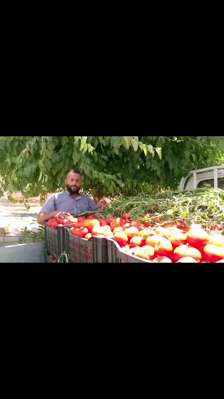 مكاني البحفش مدخل الخان 
سعر صندوك 5


**إذا كنت صاحب هذا الإعلان وتريد حذفه لأي سبب، رجاءا أرسل رسالة إلى الدعم الفني**