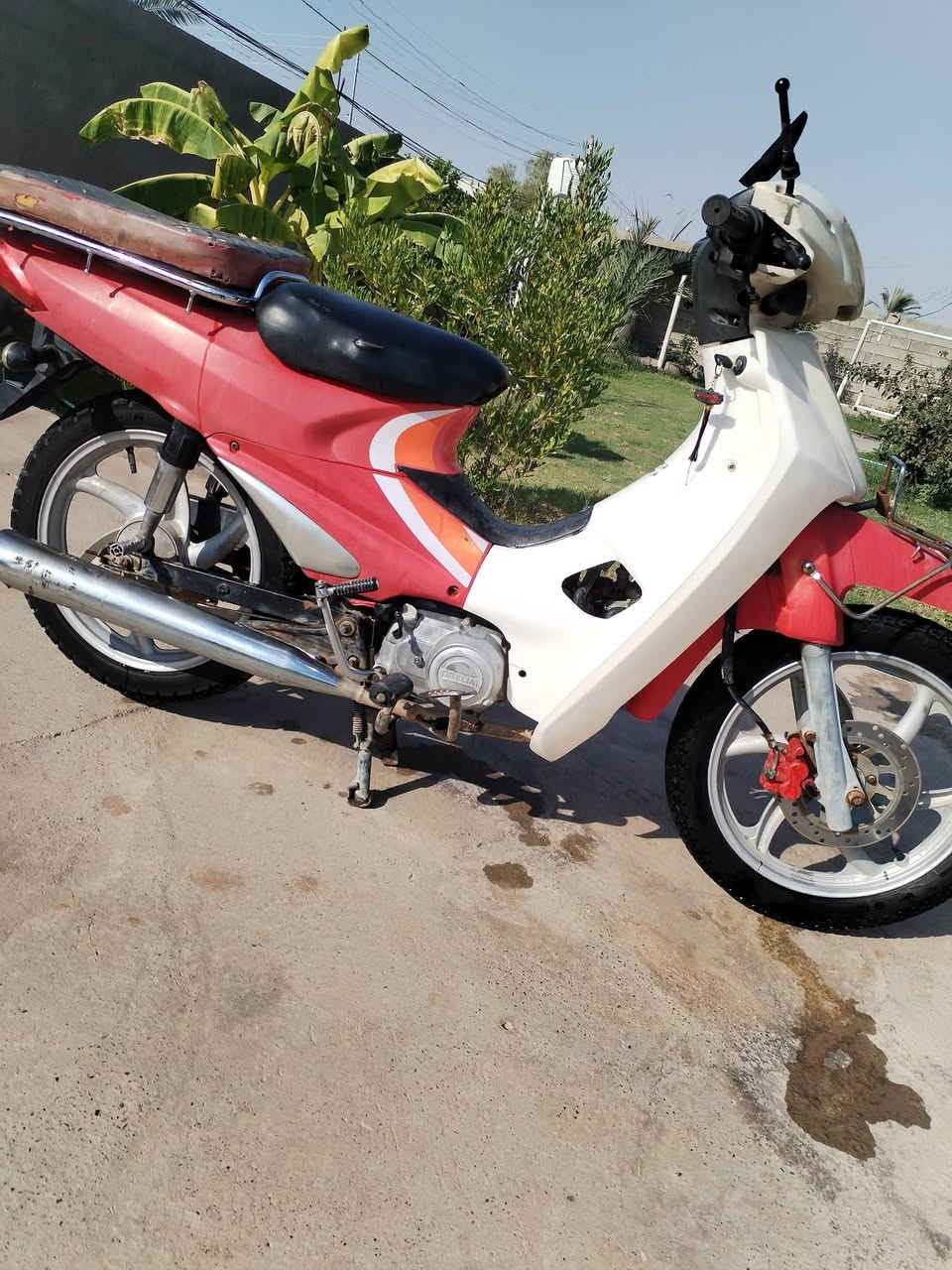 للبيع
السعر550
محرك ناعم كلش
***********
الضلوعيه

