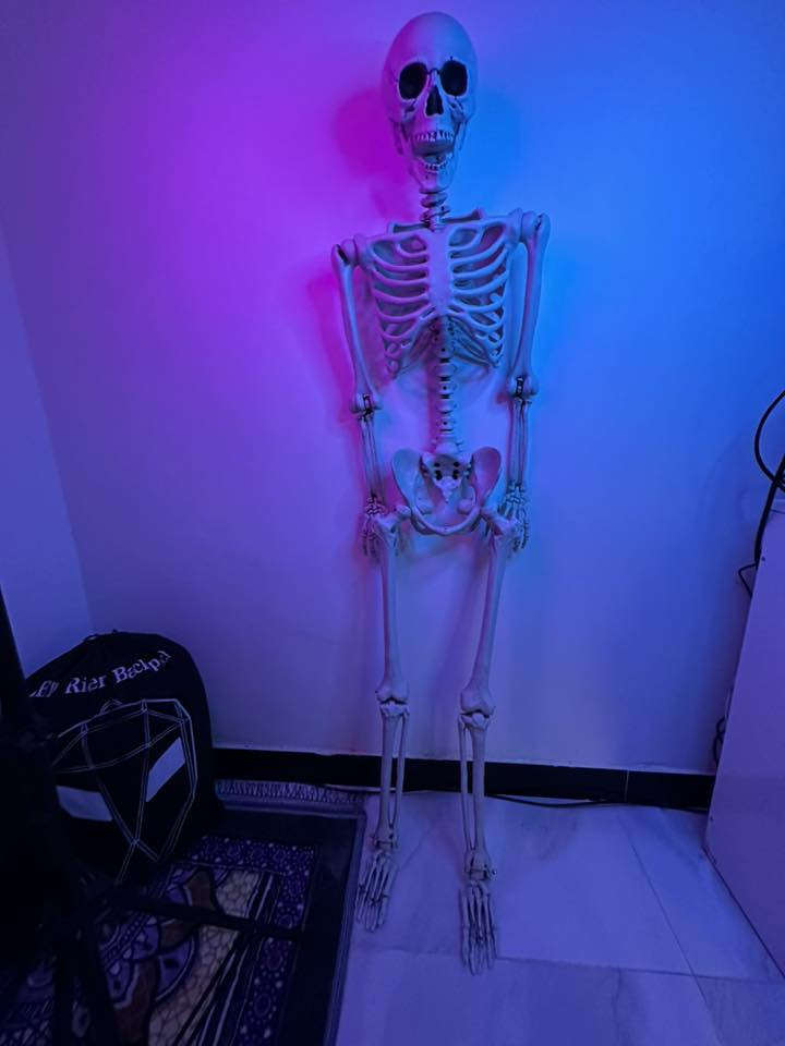 هيكل عضمي تعليملي او ديكور مو تخوف بي جهال
طول 165سم بمفاصل متحركه
مصنوع من بلاستك 
سعره 75 الف ماعندي توصيل مكاني حي الوحده


**إذا كنت صاحب هذا الإعلان وتريد حذفه لأي سبب، رجاءا أرسل رسالة إلى الدعم الفني**