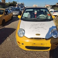 كوكو • مصبوغ • رقم بغداد