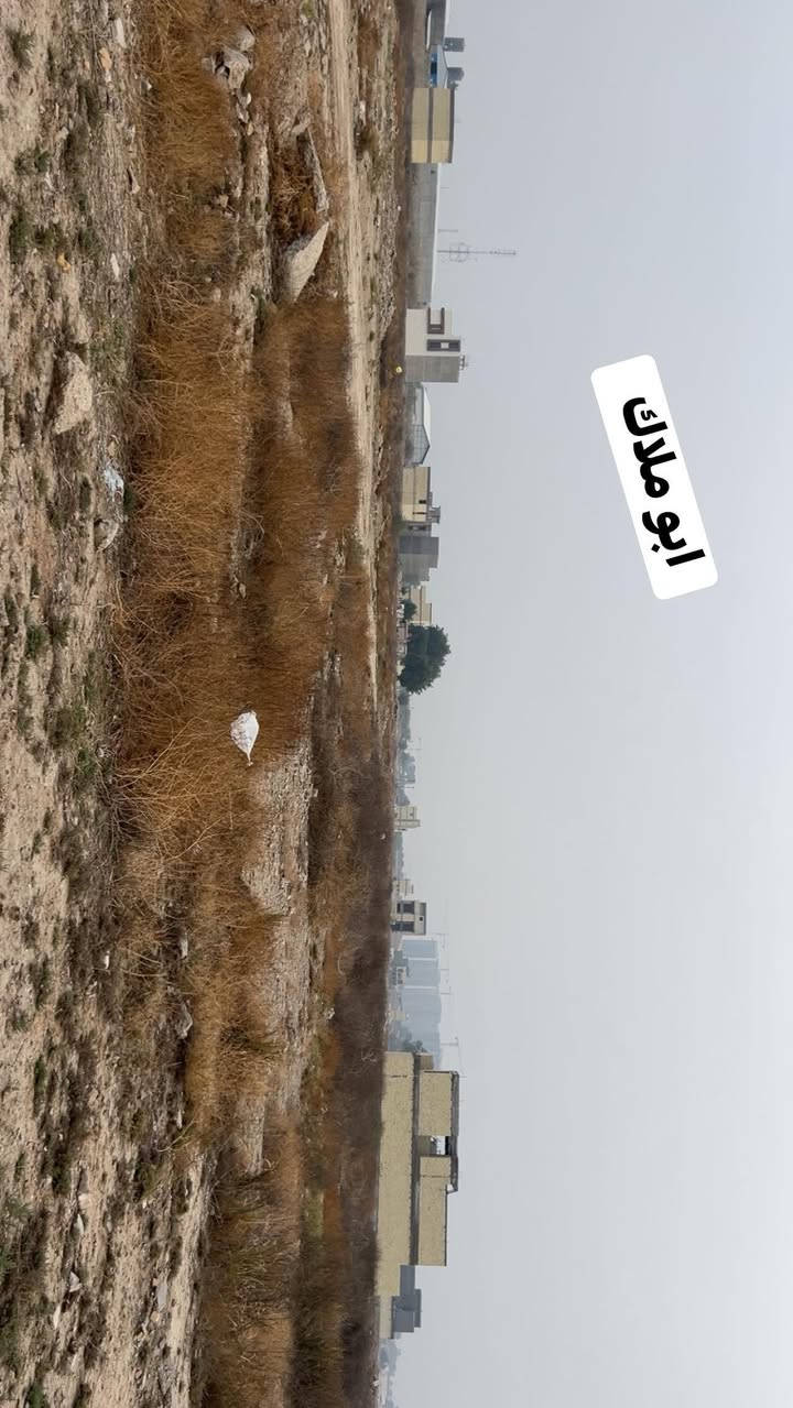 💥للستفسار مراسله الصفحه أو الاتصال 
📞***********
📞***********
رقم الأرض (6964) 
بسعر جدا مناسب المساحه 10*10 ملاصقً تشجير 
ابو ملاك 💥
