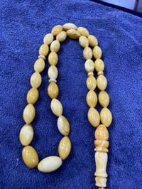 بولوني شجري • ٤٢غ
