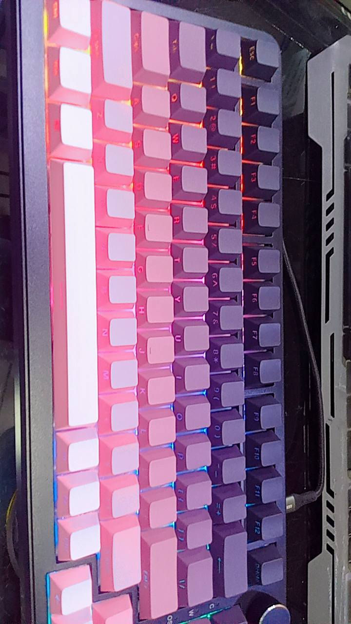 لوحة مفاتيح ميكانيكية للألعاب (Mechanical Gaming Keyboard) من العلامة التجارية الشهيرةAJAZZ، وتحديداً من سلسلة لوحات المفاتيح التي تأتي بتدرج الألوان الوردي (Gradient Pink) مع إضاءة RGB الخلفية


**إذا كنت صاحب هذا الإعلان وتريد حذفه لأي سبب، رجاءا أرسل رسالة إلى الدعم الفني**