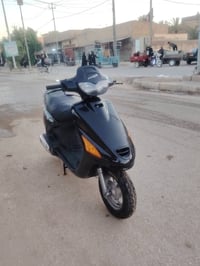 فراشه فحل • كرستال • جديده