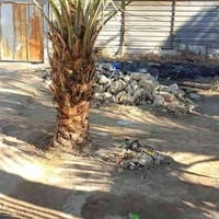 منطقة السيد صلطان • ٤٧٦م • غرفتين