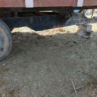 عربانة فلوجية البيع الاتصال 07869389908