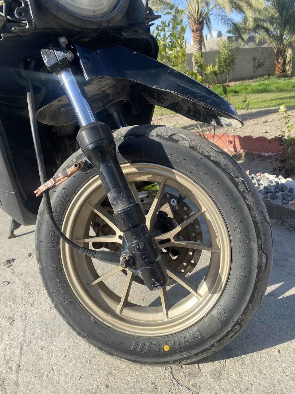 تزويد سكنس جبلي للبيع كله أصلي مكاني بغداد البياع كلمن وسعره راسلني ودلل ***********
