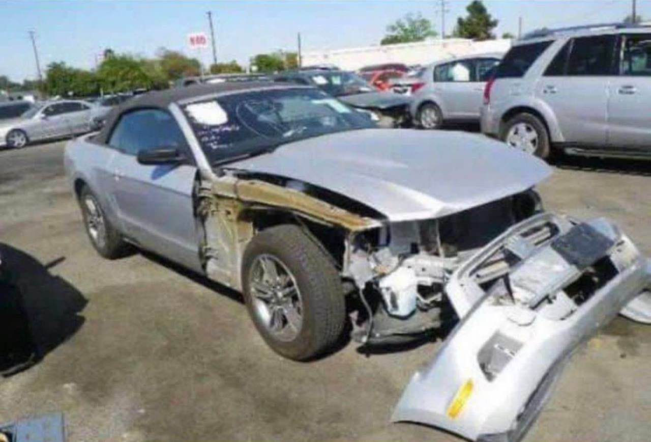 فورد موستنك

موديل 2012

رقم بغداد بأسمي تحويل مباشر

هزه جديده وارقام دولي

مكينة 3700 v6

ماشيه 57 mi

منظومة تبريد جديده ثلج

داخل جلد وكنتارا 

لايتات زينون

شاشة وكامره خلفيه

تخم تاير جديد

ويلكب شيلبي SVT اصلي حجم 19

سبايدر شيلبي

دوسات شيلبي

داخل دزاين شيلبي 

وشم شيلبي

لحية RTR

شباك بوني بكج

فسفورات تكساس

عليهه تفريغ وداون بايب واكس بايب وبرمجة

السياره حادثهه بامريكا دعامية وسرقة جاملغ الصدر

شاصي ولغد مكفول

كهربائيات بلاد

سيرفس صفر مسج 

السياره جاهزه لآخر حبة بدون نقص

بالعراق صار بيهه ربع البنيد معجون

رش حزام جماليه بسبب جراد تصوير قبل الصبغ موجود على ايدي

السعر 91 وبيها مجال 

مكاني بغداد / البياع 

*********** بغداد, العراق
