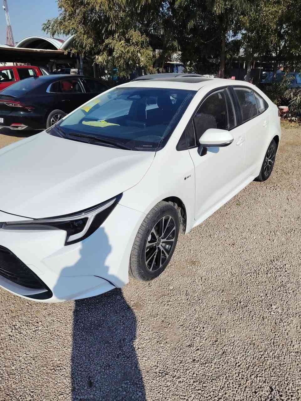 كورلا ٢٠٢٥ شكل الأمريكي مكفولة من الصبغ ماشيه ٢٤ مواصفات الكورلا معروفة مكان بغداد ابو غريب السعر ١٥٨ وبيها مجال للاستفسار ***********
