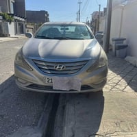 سوناتا • ٢٠١٠ • سنوي ٤/٢٠٢٩