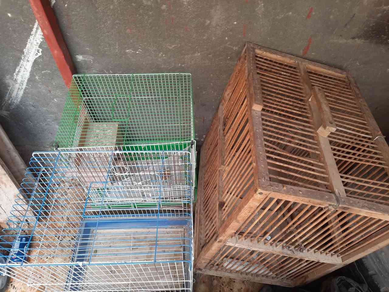 اقفاص للبيع كلهن ب ٥٠


**إذا كنت صاحب هذا الإعلان وتريد حذفه لأي سبب، رجاءا أرسل رسالة إلى الدعم الفني**