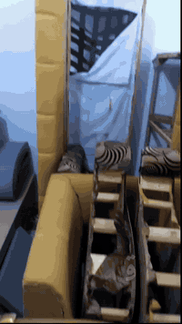 ابو ايمن المرسومي لتصليح كافه انواع القنفاات قرب روضة ذات النطاقين (روضة المقصوفه سابقا) 
***********
