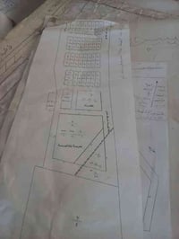 نص قطعة • 100م • السند الدبيه الثالثه