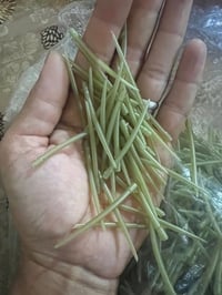 صوندة مانع تشابك • ٦ سم • ٥٠ قطعة جملة