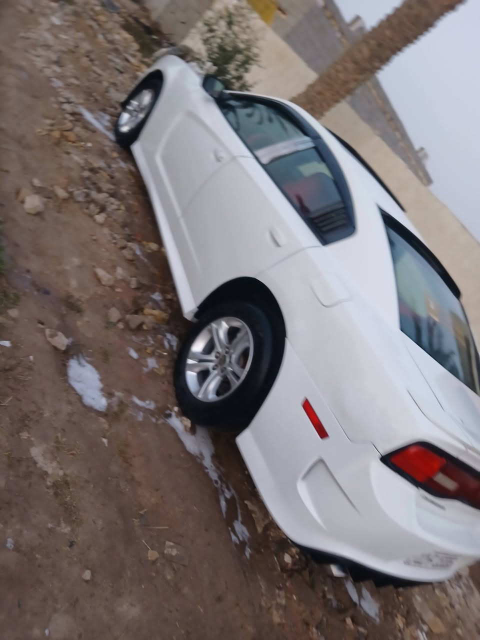 جاجر ١٣ خلجي مكينة وكير وحدادية تخم تاير جاهزه رقم بغداد بسمي تحويل مباشر السعر *********** ***********  السياره خليجي فول مواصفات فتحه شاشه جبيره *********** ***********
