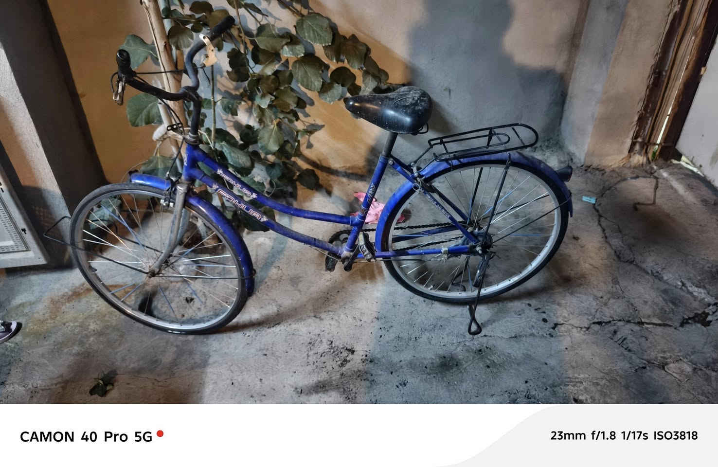 باسكيل حجم ٢٤ سعره ٥٠الف


**إذا كنت صاحب هذا الإعلان وتريد حذفه لأي سبب، رجاءا أرسل رسالة إلى الدعم الفني**