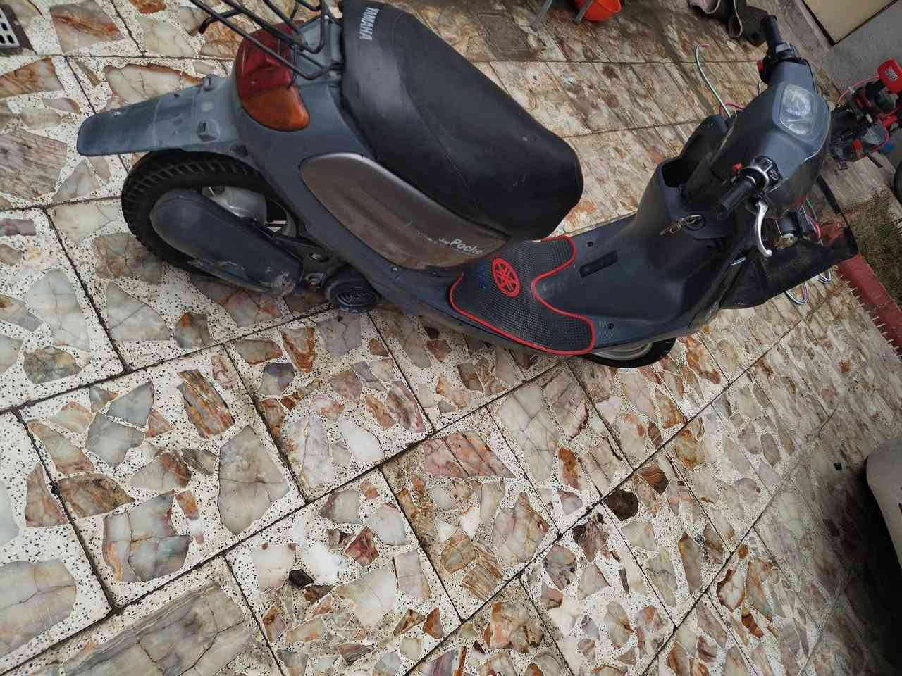 سلام عليكم دراجه منغولي للبيع سعر 230 وبيهه مجال يرادلهه ترتيب شويه كربلاء حي المهندسين قرب جامع حسن العسكري ***********
