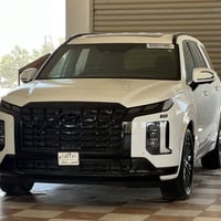 باليساد • ٢٠٢٥ • بدون رقم