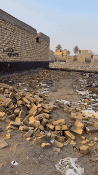 قطعه ارض زراعي سند 25  موقعها شارع 100. المساحه 100 متر للاستفسار الاتصال ع الرقم ***********
