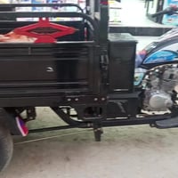 ستوته • رقم أبيض • نصر