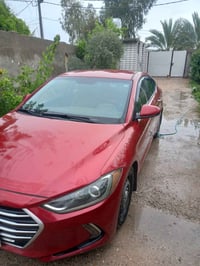 النترا ماروني • ٢٠١٧ • رقم أربيل