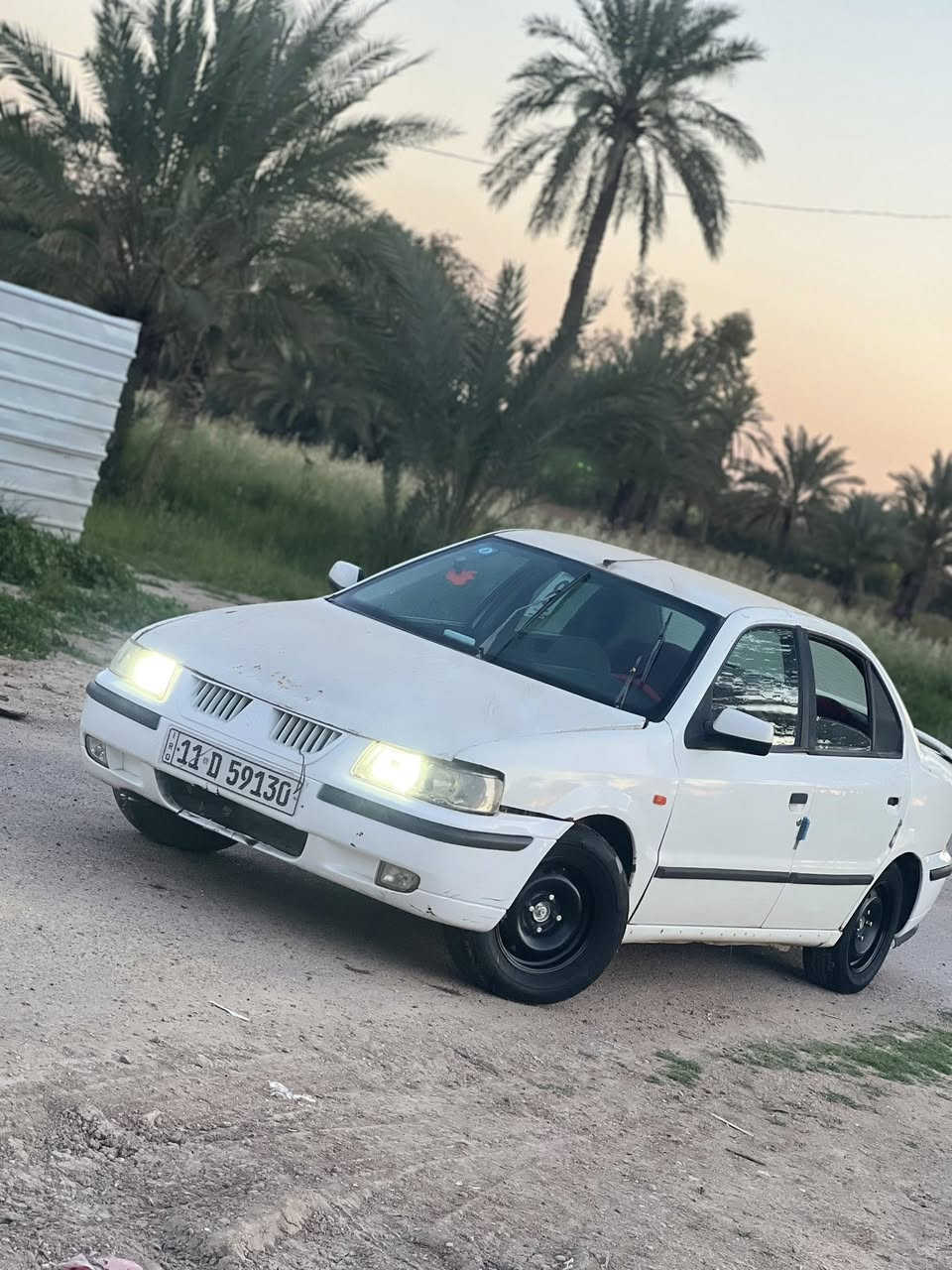 سمند البيع أو مراوس ***********
