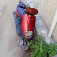 دراجه منغولي فحل للبيع او مراوس بباسكل شحن سعره 200 وبيه مجال للاستفسا...