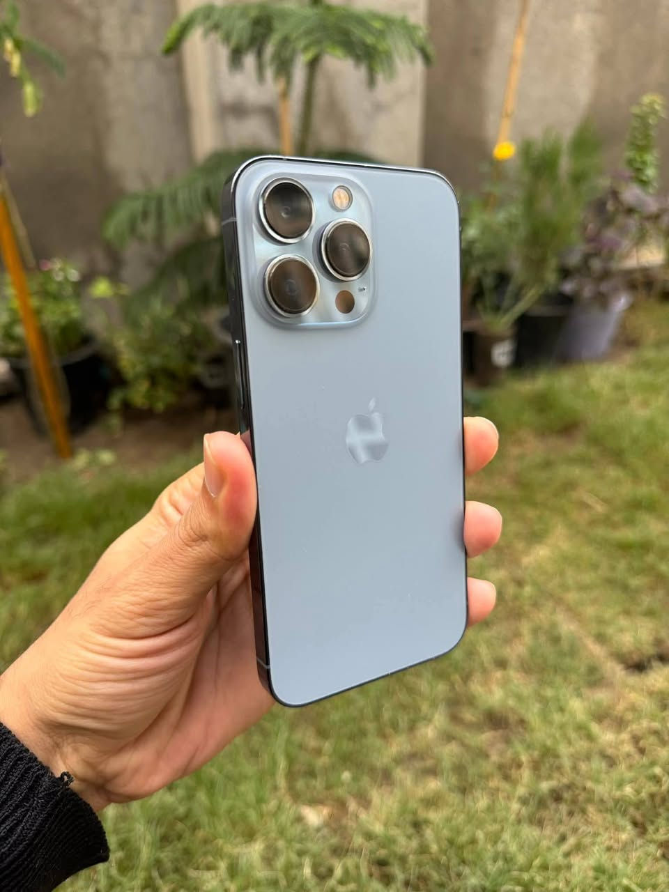 iPhone 13 Pro Max 
أيفون 13برو ماكس جهاز نضيف جديد مامفتوح ضمان وتربرو 
تفحص حاسبه مامفتوح ضمان سبوع ذاكره 256 سعر ٥٩٥قفل
***********
