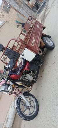 للبيع ستوته فحل موديل ٢٠١٨ ستوته مكمركه اوراقها الاصوليه جاهزه من كلشي...