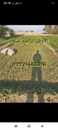 قريه الصباغ • ١٠دونم • عقد زراعي