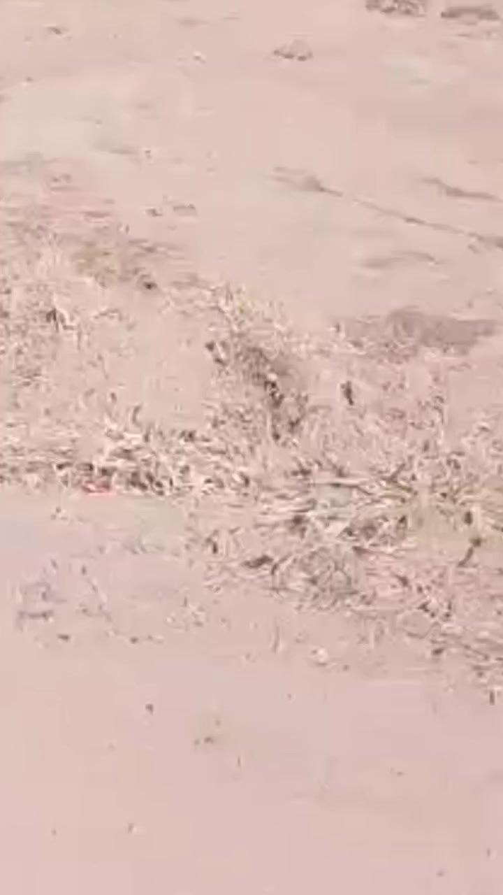 السلام عليكم
قطعة زراعي ٦٠٠م قرية ام العيش
كاملة الخدمات
شارع ١٠م

للاستفسار *********** يتوفر واتساب
