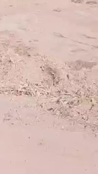 قرية ام العيش • ٦٠٠م • خدمات كاملة