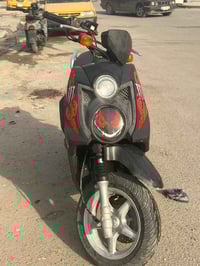 سكنس جبلي • زنون • كفاله