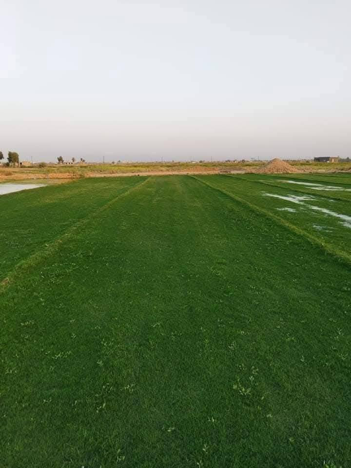 مع بدء موسم زراعه الثيل وترتيب الحدائق وفرنا لكم جميع أنواع الثيل الطبيعي 
#ثيل #هندي⛳️
#ثيل #ايطالي //يوصلك الثيل لباب البيت مباشر من المزرعه فريش وريان 
مستعدين لتنظيم وترتيب الحدايق والادامة  الشهرية بكادر متخصص ذو خبرة بمجال الزراعة  �//
 / /للاستفسار
***********يوجد واتساب 
***********
