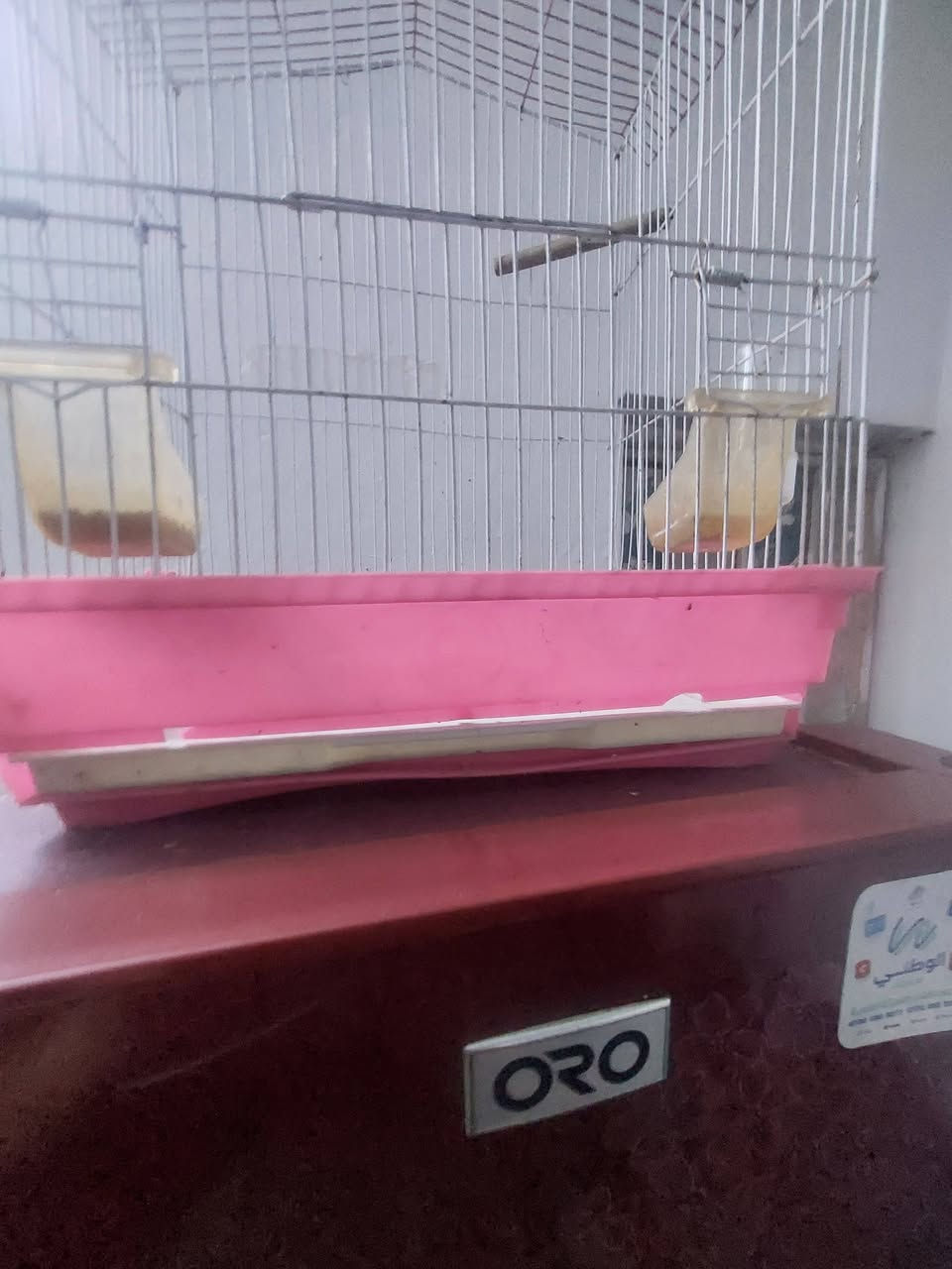 السلام عليكم 
قفص بلبل طيور حب اي شي 
السعر ١٥ الف *********** شهداء البياع
