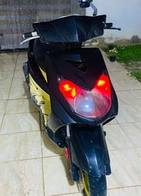 سكنس فحل • ياباني • اصفر