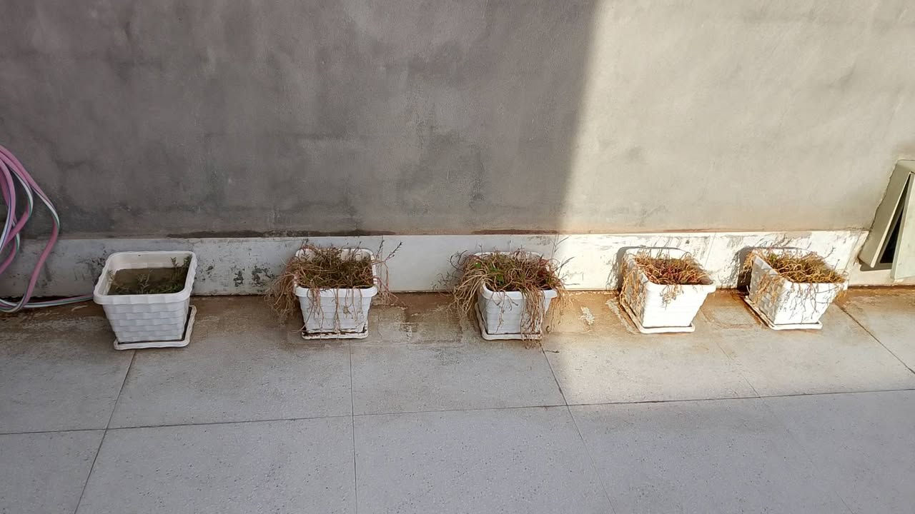 سلام عليكم
عندي هلشغلات للبيع


**إذا كنت صاحب هذا الإعلان وتريد حذفه لأي سبب، رجاءا أرسل رسالة إلى الدعم الفني**