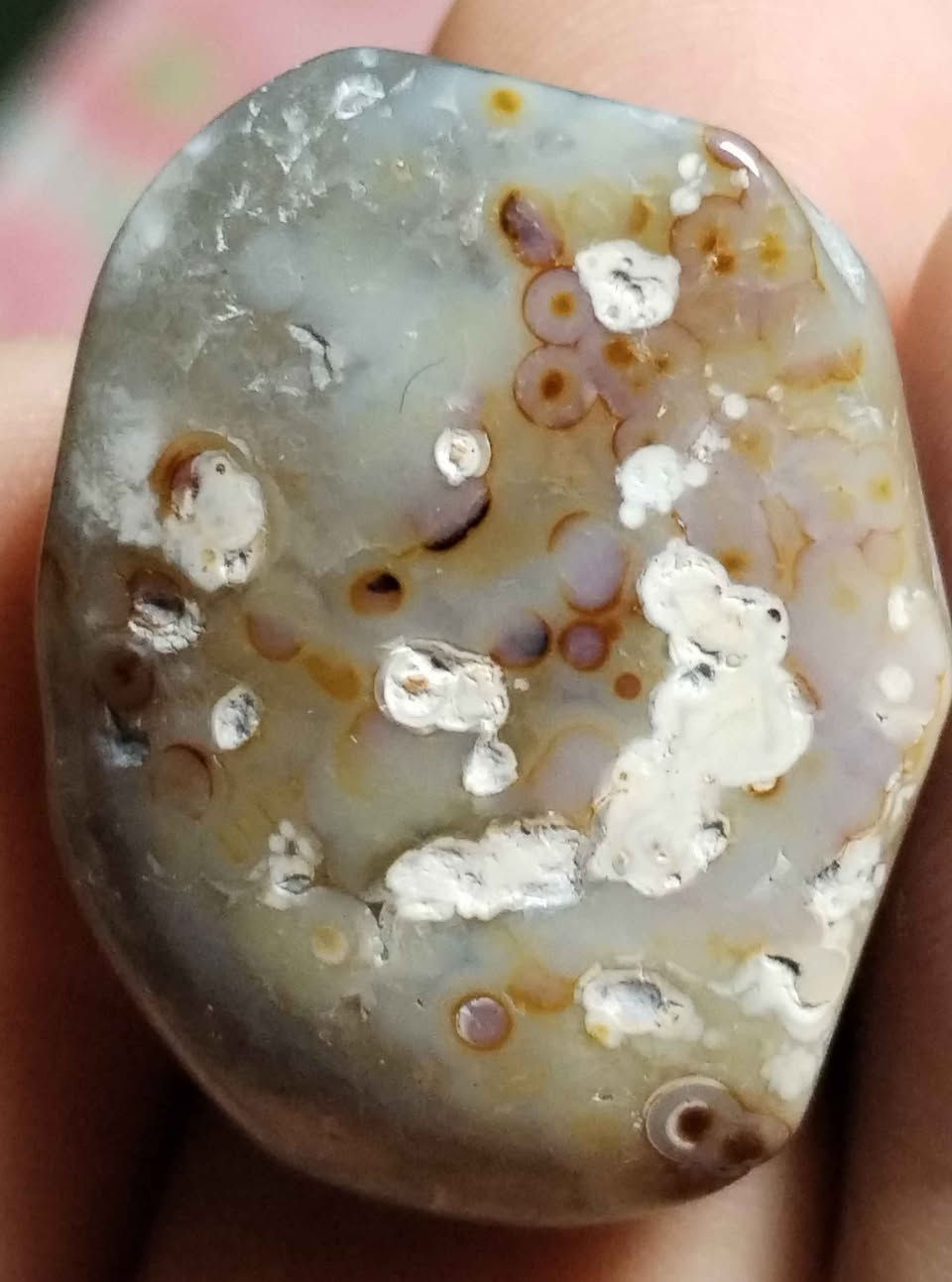 كلهن ب ٢٠ ألف بلاش البلاش
١٠ احجار داودي خشنات بيهن قطع مصورة طبيعي كلهن ب ٢٠ ألف بغداد, العراق


**إذا كنت صاحب هذا الإعلان وتريد حذفه لأي سبب، رجاءا أرسل رسالة إلى الدعم الفني**