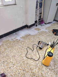 مكافحة حشرات • مكافحة قوارض • تكريت وخارجها