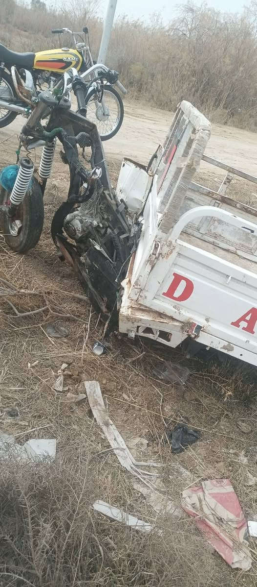 ستوته اوراقها كامله...  ابيع تفصيخ كلمن وسعره  هاذا رقم بيه واتساب ودك عليه  *********** مكاني شطرة
