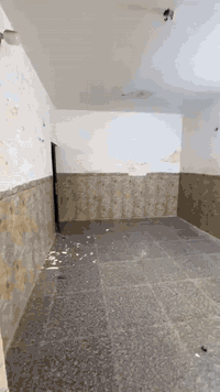 اي شي يخص الصبغ او تصليح الرطوبه 07711331274