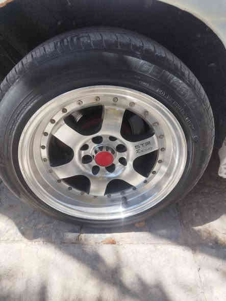 تخم ويل كب زعره للبيع حجم 15 رقمي *********** بسعر 300وبيهن مجال
