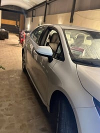 كورلا • ٢٠٢٤ • رقم اربيل