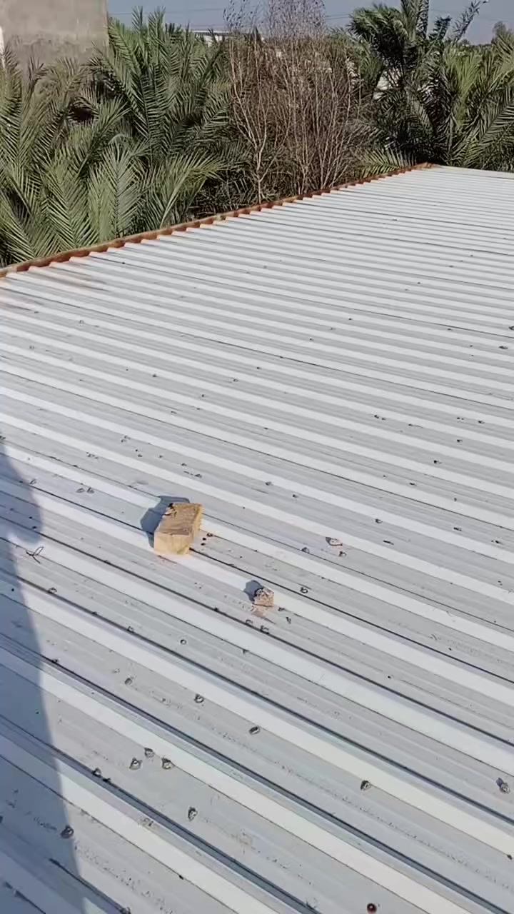 السلام عليكم سقيفة للبيع مساحة 230متر أول العام شديتها جينكو 5صفر والشخاط مليمين والبوري مربع 3ملم مكاني بصرة أبو الخصيب ***********
