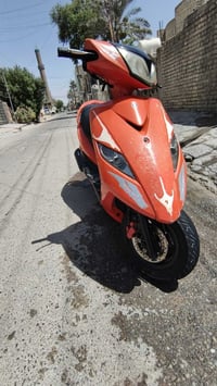 ثعلب لون مشمشي مميز للبيع نازله رمبه صالها شهرين  مكينه مامفتوحه بلادي...