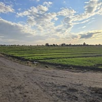 انته صحاب استثمار او تريد تترفه وصلت عند الشخص الصح جايبلك 5 دوانم وتب...