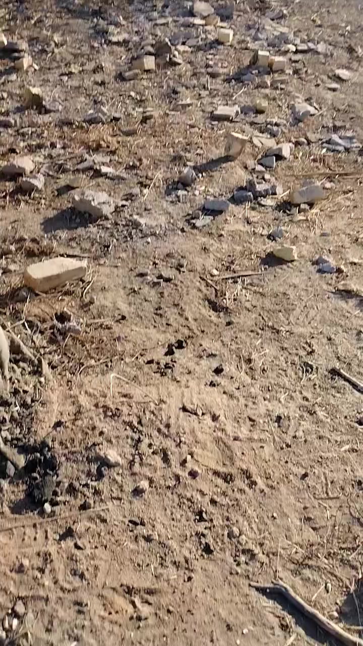 السلام عليكم
قطعة ارض للبيع المساحة ٦٦٠ متر سند ٢٥ مشمولة بالطابو الصرف 

الواجه ١٢ والنزال ٥٥ خدامات كاملة

(ماء كهرباء تبليط) 

المكان الديوانية طريق السنية

منطقة امطباشي في واجهة مجمع المدينة الملكية 

للتواصل خاص او عبر الرقم ***********
