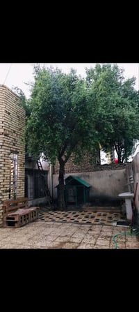 الجبيسه • ٢٠٠م • ٣غرف